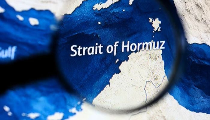 UAE may join international force to reopen Strait of Hormuz, FT reports