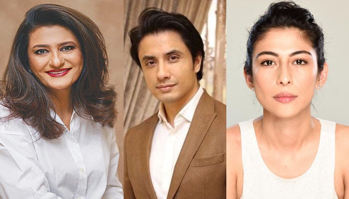 Saba Hameed reacts after daughter Meesha Shafi requests for Ali Zafar case dismissal