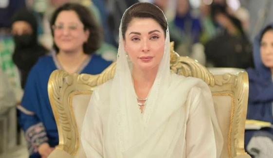 پنجاب میں 28 مارچ کو ارتھ آور منائیں گے: وزیرِ اعلیٰ پنجاب