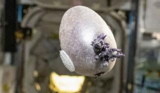 ناسا کے خلاء باز کی تصویر کا حیران کن انکشاف، حقیقت کیا ہے؟