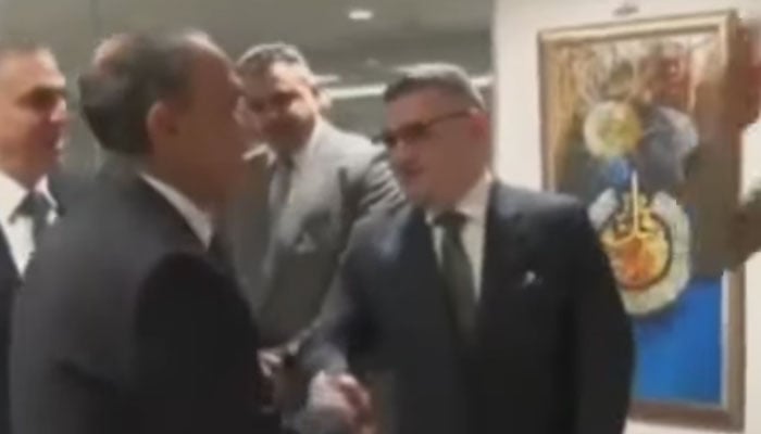 اسکرین گرایب