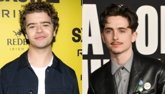 Gaten Matarazzo takes playful jab at Timothée Chalamet with viral parody