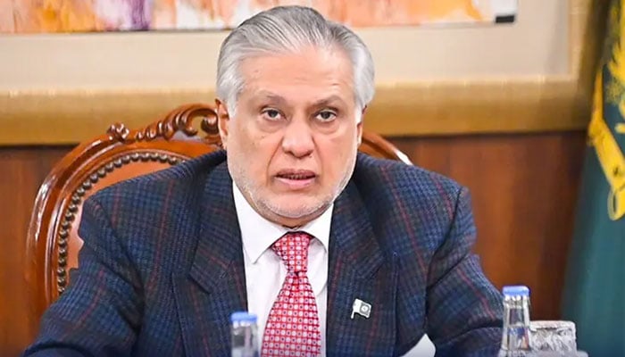 آبنائے ہرمز سے پاکستانی پرچم بردار مزید 20 جہازوں کو گزرنے کی اجازت مل گئی، اسحاق ڈار