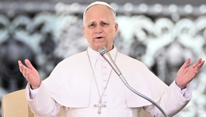 Pope Leo takes aim at Trump during Palm Sunday mass: your hands are full of blood