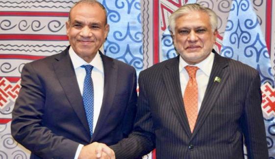 اسحاق ڈار سے مصری وزیر خارجہ کی ملاقات، باہمی تعاون کے فروغ پر تبادلۂ خیال