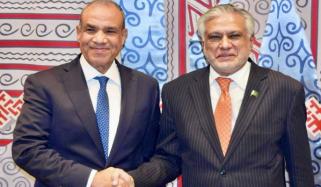 اسحاق ڈار سے مصری وزیر خارجہ کی ملاقات، باہمی تعاون کے فروغ پر تبادلۂ خیال