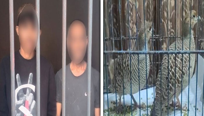 فوٹو: جیو نیوز