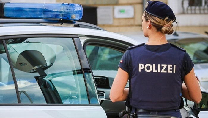 تصویر، غیر ملکی میڈیا