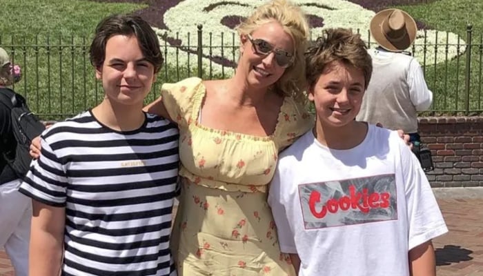 Britney Spears shares sweet moments with sons after recent turmoil