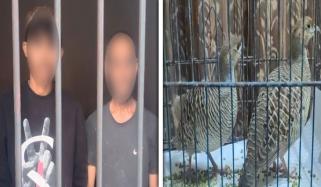 کراچی: تیتر چھیننے کیلئے بزرگ شہری کو قتل کرنیوالے ملزمان گرفتار