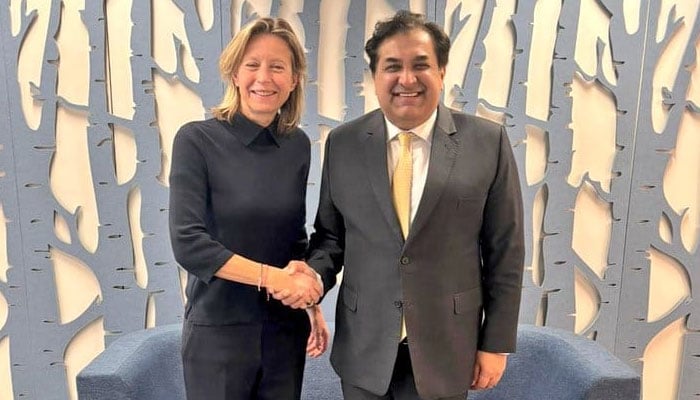 پاکستانی سفیر رحیم حیات کی یورپی یونین کی نمائندہ خصوصی برائے انسانی حقوق سے ملاقات