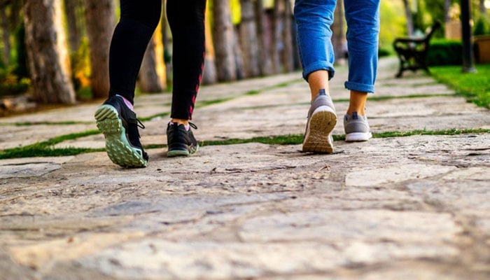 ---فائل فوٹو