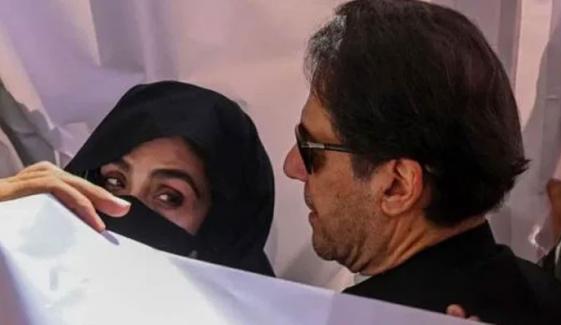 190 ملین پاؤنڈ کیس: سلمان صفدر کی بانی و بشریٰ بی بی سے ہدایات کیلئے مہلت کی استدعا