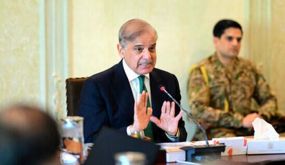 حکومت نوجوانوں کو جدید مہارتیں فراہم کرنے کیلئے عملی اقدامات کر رہی ہے: وزیرِ اعظم شہباز شریف