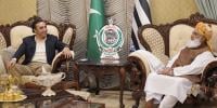 بلاول بھٹو اور فضل الرحمان ملاقات، حساس سیاسی امور پر کھل کر گفتگو