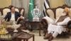 بلاول بھٹو اور فضل الرحمان ملاقات، حساس سیاسی امور پر کھل کر گفتگو