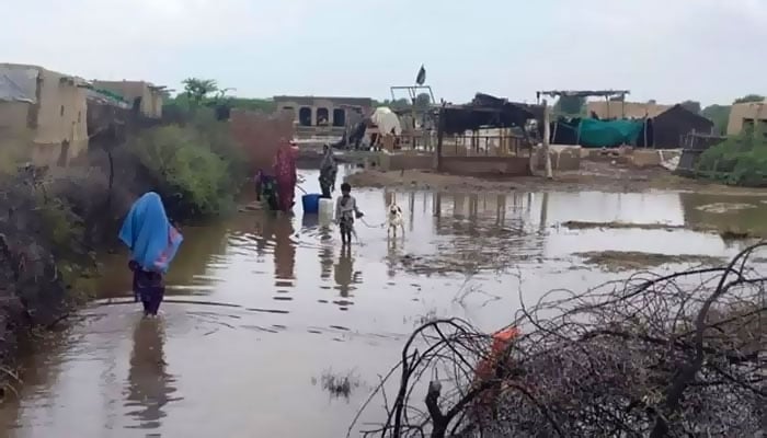 —فائل فوٹو