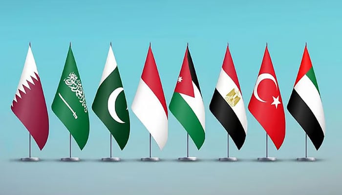 —تصویر بشکریہ غیر ملکی میڈیا