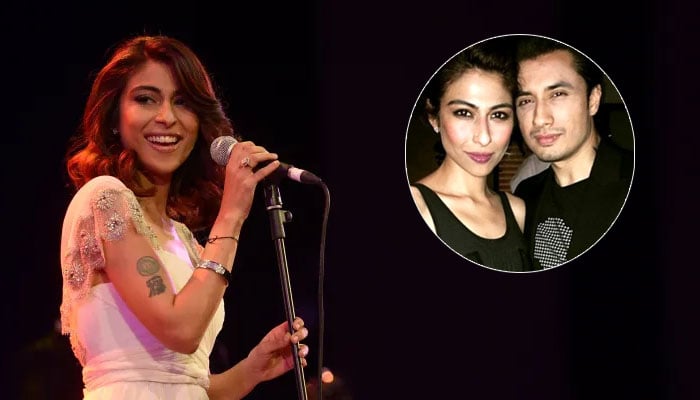 Meesha Shafi breaks silence after losing defamation case against Ali Zafar