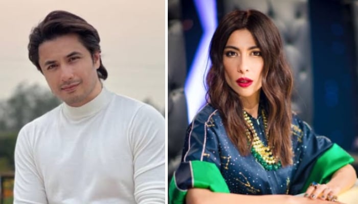 Ali Zafar finally speaks out on his epic triumph in Meesha Shafi defamation case