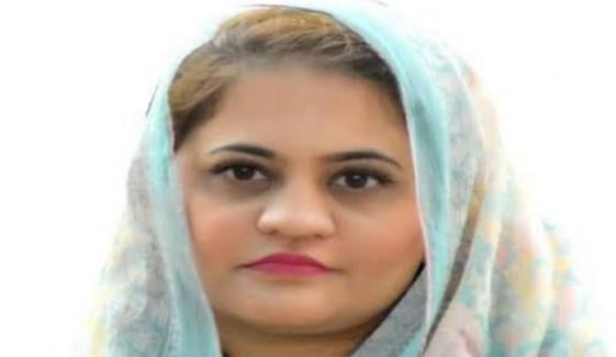 چند گھنٹوں میں نکاسی آب ہماری کارکردگی کا منہ بولتا ثبوت ہے، سعدیہ جاوید