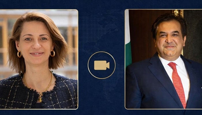 پاکستانی سفیر کی ڈائریکٹر یورپین انوسٹمنٹ بینک کے ساتھ آن لائن میٹنگ