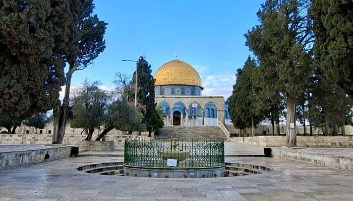 تصویر سوشل میڈیا۔