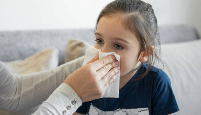 ---فائل فوٹو