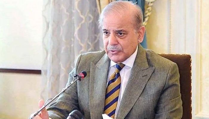 پبلک ٹرانسپورٹ اور مال بردار گاڑیوں کےلیے ریلیف کی رقم دینے کا آغاز کر دیا گیا ہے، وزیراعظم شہباز شریف - فوٹو: فائل