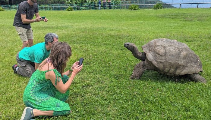 دنیا کا معمر ترین خشکی کا جانور زندہ ہے، مرنے کی افواہیں جھوٹی نکلیں