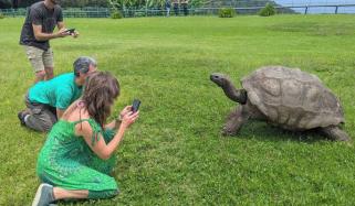 دنیا کا معمر ترین خشکی کا جانور زندہ ہے، مرنے کی افواہیں جھوٹی نکلیں