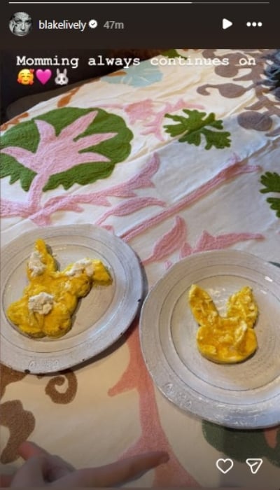 P.C.: Blake Lively/Instagram Stories