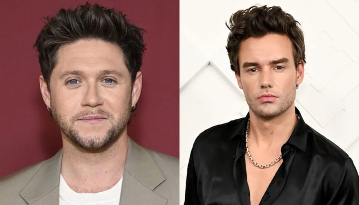 Niall Horan reflects on Liam Payne’s sudden passing & their final meeting