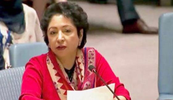 ٹرمپ کا ایرانی لیڈروں کو گالیاں دینا شرم ناک ہے، ڈاکٹر ملیحہ لودھی