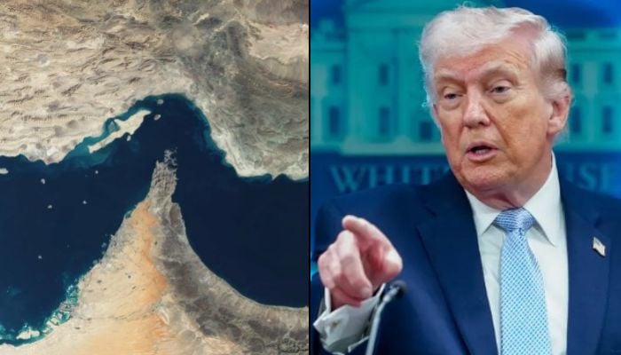 Trump says US will charge for Strait of Hormuz after US-Iran war