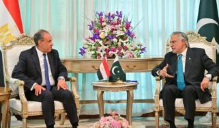 وزیرِ خارجہ اسحاق ڈار کی مصری ہم منصب بدر عبدالعاطی سے خطے کی صورتحال پر مشاورت