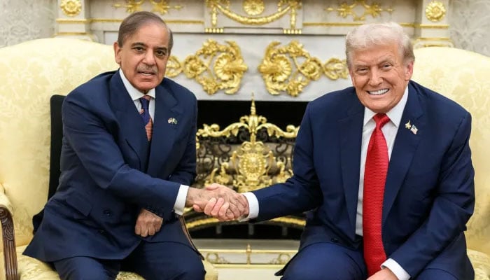 شہباز شریف ہر جگہ نہایت معزز شخص ہیں، ٹرمپ