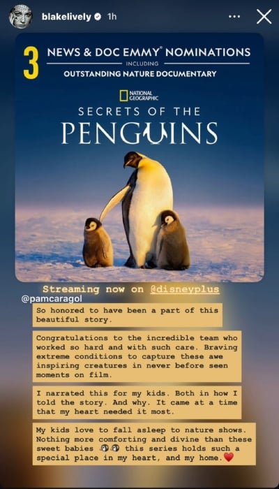 P.C.: Blake Lively/Instagram Stories