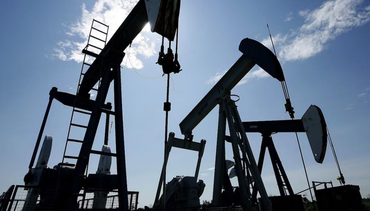 There is going to be a lot of pressure on all of our energy needs for this year, says Botterill