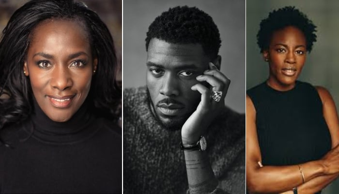 Bridgerton Season 5: Netflix brings in three big names to cast lineup