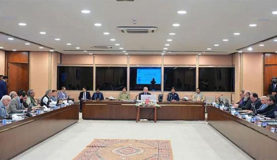 وزیراعظم اور فیلڈ مارشل نے ہر پاکستانی کا سر فخر سے بلند کر دیا ہے: کابینہ اراکین