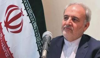 جنگ روکنے کے لیے پاکستان نے ثالثی کی مثبت اور مؤثر کوششیں کیں، رضا امیری