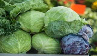 تھائی لینڈ میں گوبھی کے نیچے چھپائی گئی 1.6 ٹن منشیات برآمد، اسمگلنگ نیٹ ورک بے نقاب