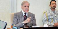 جنگ وقتی طور پر ٹل گئی، منزل پائیدار امن ہے، وزیراعظم شہباز شریف