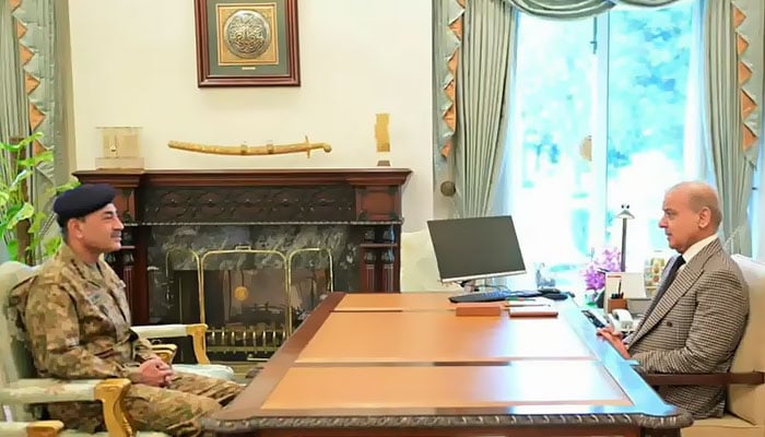 فوٹو: اسکرین گریب