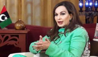 جنگ بندی میں صدر زرداری کا بھی پسِ پردہ کردار رہا: شیری رحمٰن