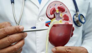 شدید گرمی میں گردوں کی حفاظت کیسے کریں؟ ماہرین نے بتادیا