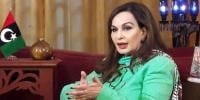 ’جنگ بندی میں صدر زرداری کا بھی پسِ پردہ کردار رہا‘
