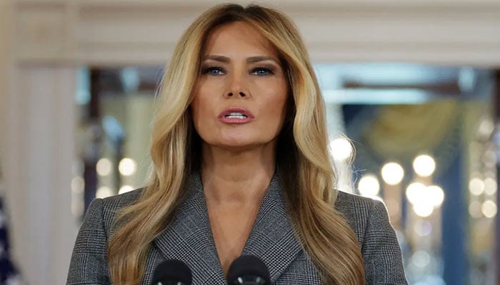 ایپسٹین سے کبھی تعلق نہیں رہا، امریکی خاتون اول