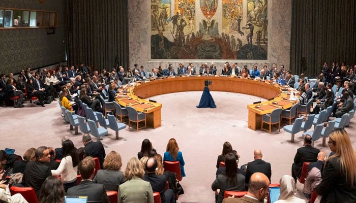 جنگ بندی اتفاق رائے میں لبنان شامل تھا، نمائندہ پاکستان مقیم سلامتی کونسل